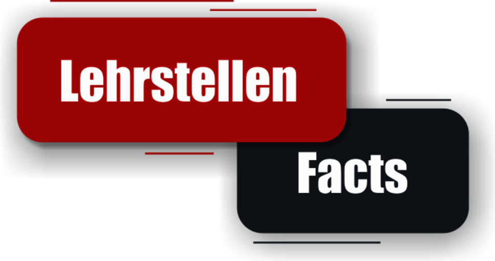 Two colored fields on top of each other, one in red and the other in grey. “Apprenticeships” is written in the red field and ‘Facts’ is written in the gray field. The image is used symbolically for the Steyr apprenticeship in metal technology at weba Werkzeugbau.