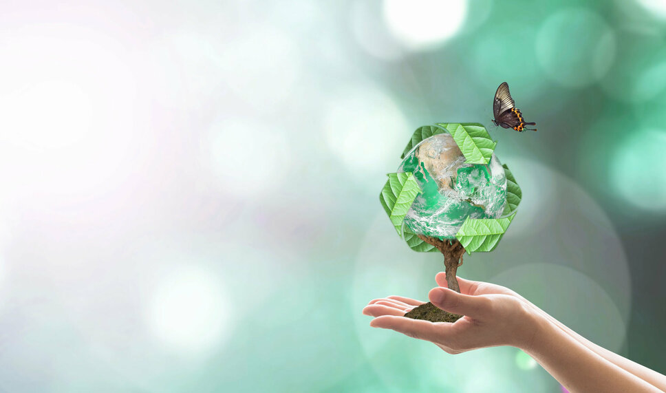 Hands hold a tree whose branches represent the Earth globe against a bright background. Above the tree, a recycling symbol is visible, and a butterfly is flying towards it, symbolizing a harmonious connection between nature and sustainability. In the business ethics of weba Werkzeugbau, this image represents the company's sustainability and environmental protection initiatives.