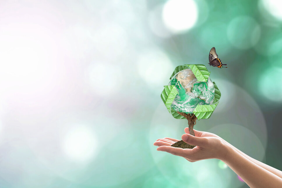 Hands hold a tree whose branches represent the Earth globe against a bright background. Above the tree, a recycling symbol is visible, and a butterfly is flying towards it, symbolizing a harmonious connection between nature and sustainability. In the business ethics of weba Werkzeugbau, this image represents the company’s sustainability and environmental protection initiatives.